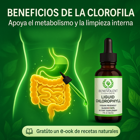 🌿CLOROFILA FIT 🌿Chupa la Panza y Limpia tu Organismo Desde Adentro