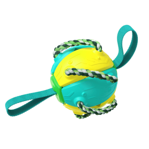 Balón Disco Volador