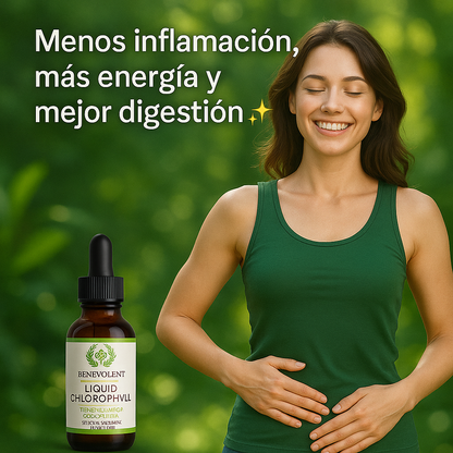 🌿CLOROFILA FIT 🌿Chupa la Panza y Limpia tu Organismo Desde Adentro